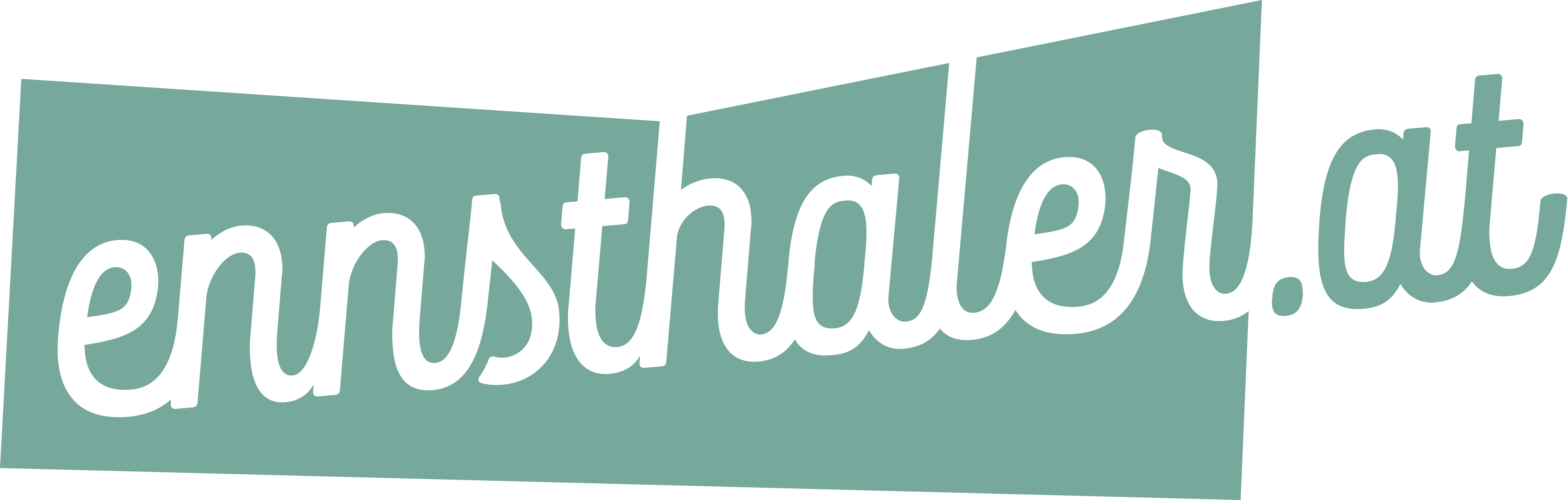 Partnerlogo Buchhandlung Ennsthaler