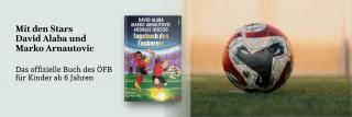 Fußball. Link zum Buch Tagebuch des Zauberers.