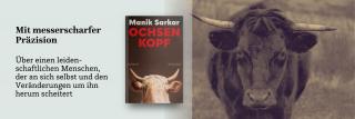 Ochse. Link zum Buch Ochsenkopf.