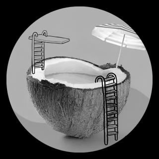 Kokosnuss als Swimmingpool. Link zu unserem Onlineschaufenster Ferienhefte.