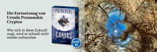 Blick in eine andere Welt. Link zum Buch Canvas.
