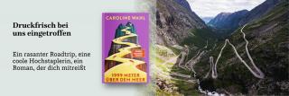 Passstraße. Link zum Buch 1999 Meter über dem Meer.