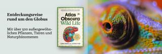 Chamäleon. Link zum Buch Atlas Obscura - Wild Life.